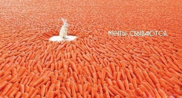 №11, Анна Евдокимова, 37 лет, Ростов-на-Дону №11, Анна Евдокимова, 37 лет, Ростов-на-Дону