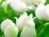 Елена Асабова | Нижний Новгород