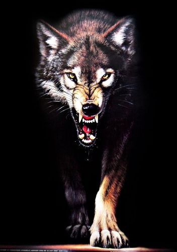 №111, Александр Беляев, Санкт-Петербург №111, Александр Беляев, Санкт-Петербург