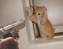 Фотография Старикова Ромича