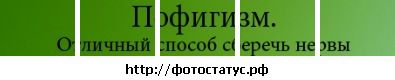 Фотография Карина Шешенина