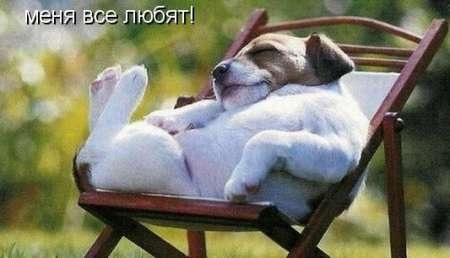 №78, Алёна Зубкова, 36 лет, Киев №78, Алёна Зубкова, 36 лет, Киев