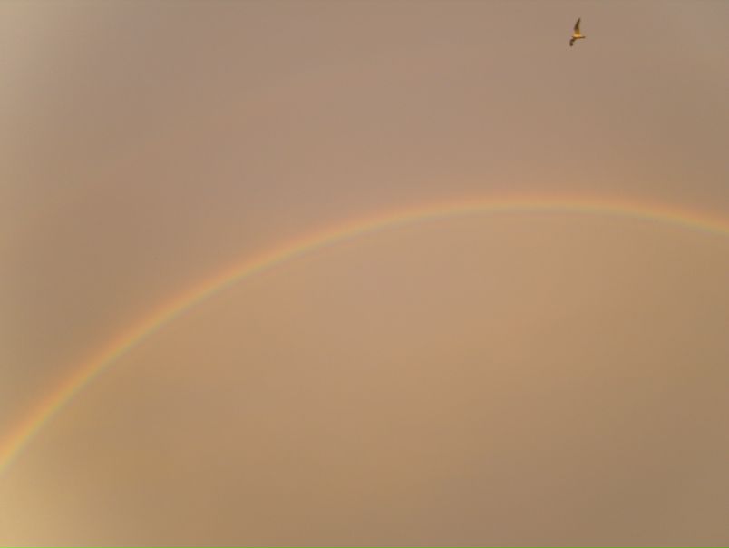 №47, Александр Беляков, 37 лет №47, Александр Беляков, 37 лет