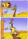 Фотография Михаил Иванов