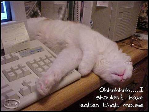 Жека Николаенко ~REN~ | Днепр (Днепропетровск)