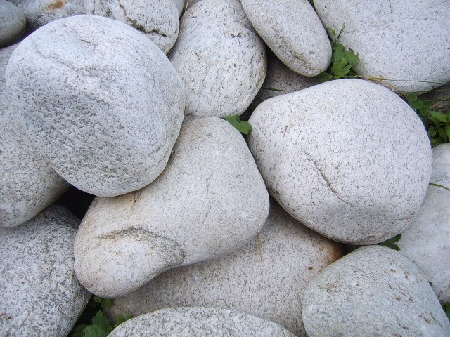 Ольга Светова | Петрозаводск