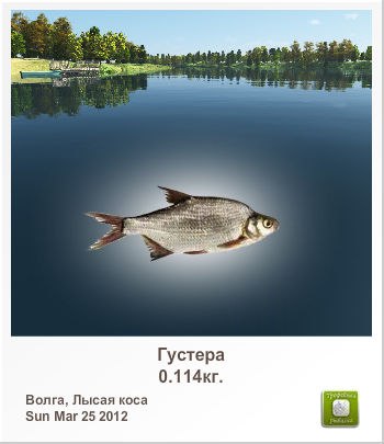 Людмила Морозова | 