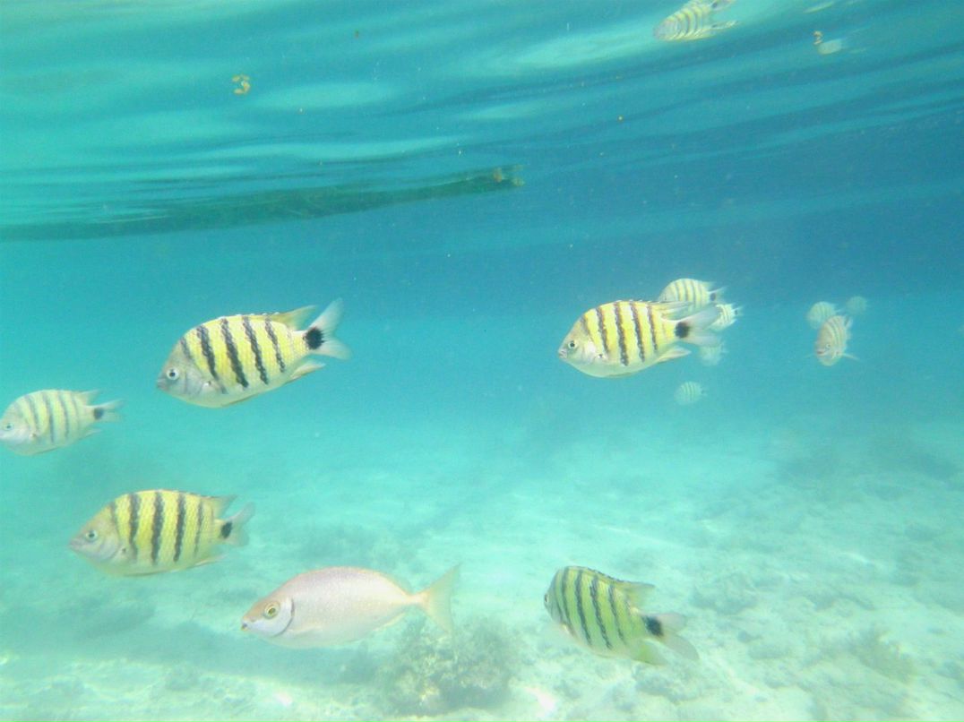 Вера Кондакова | Shenzhen