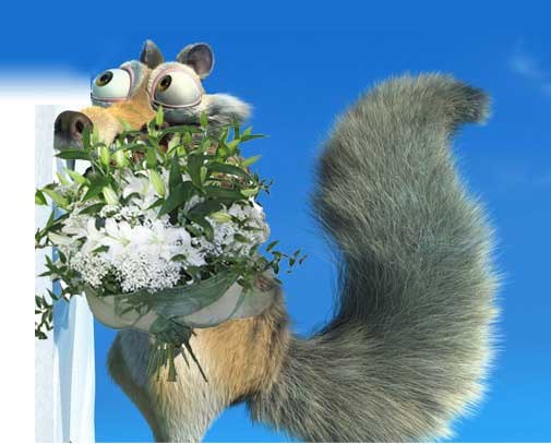 Михаил Марчук | Санкт-Петербург