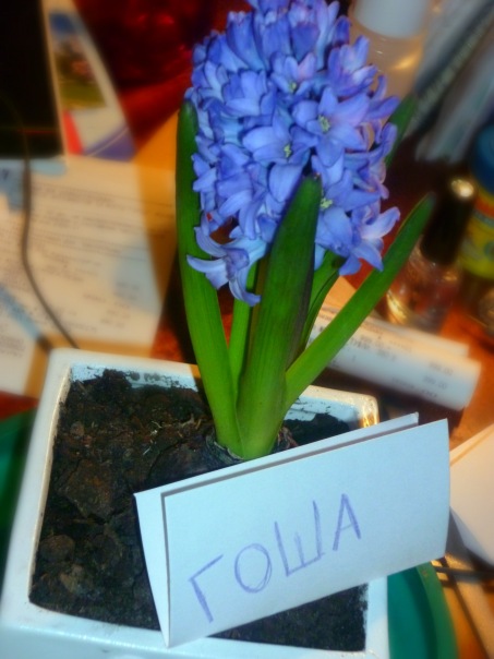 №40, Мария Назарова, Москва, Россия №40, Мария Назарова, Москва, Россия