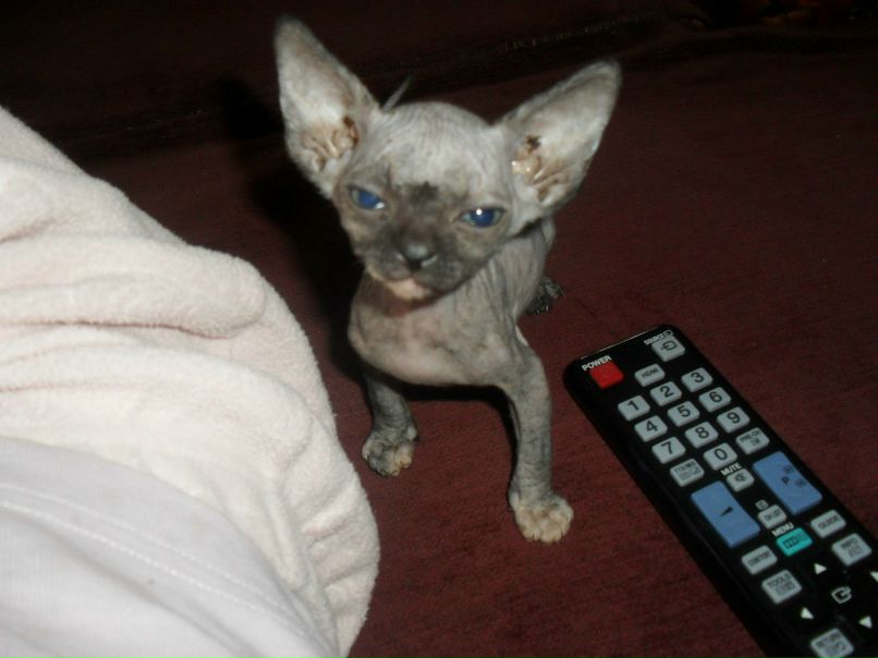 Кристина Сяба | Рязань