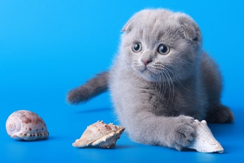 Татьяна Мудревская-Макарова | Люберцы