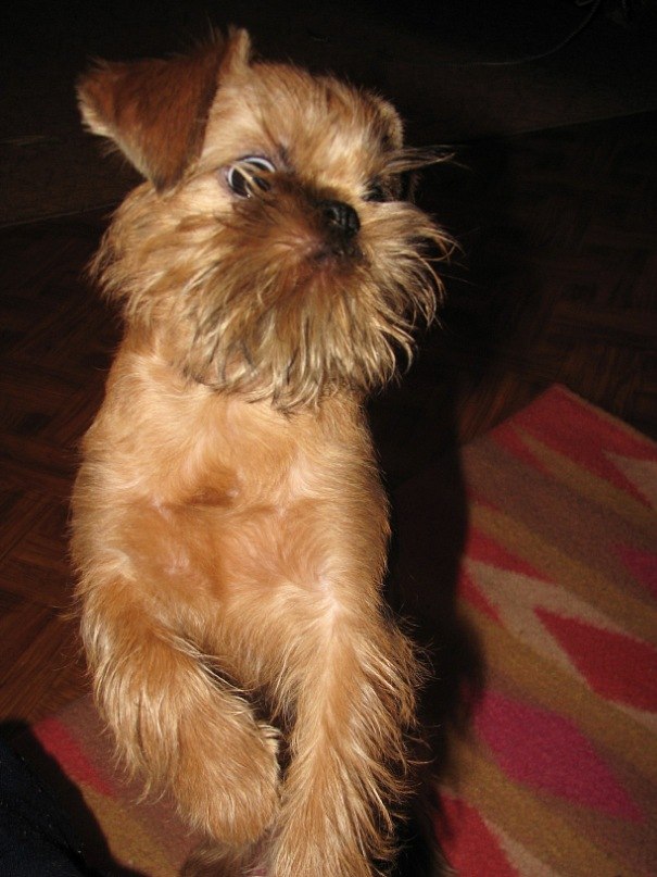 Марианна Ярославцева | Москва