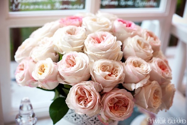 №41, Lidia Bekenova №41, Lidia Bekenova