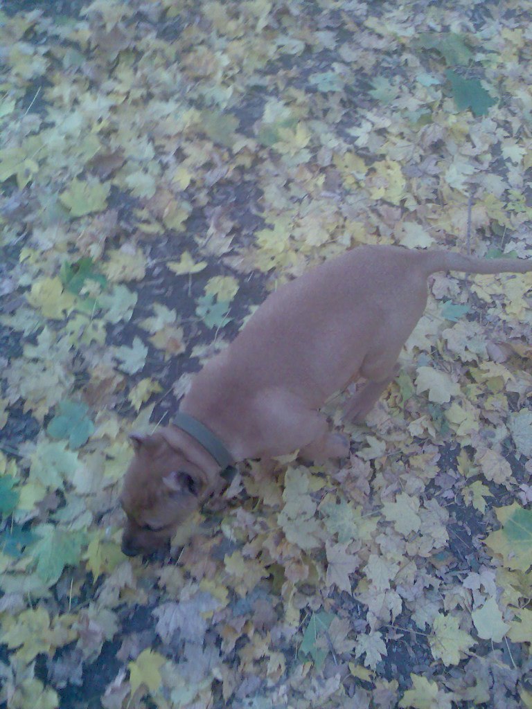 Слава Манжос | Харьков