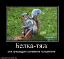 Фотография Arr Arrek