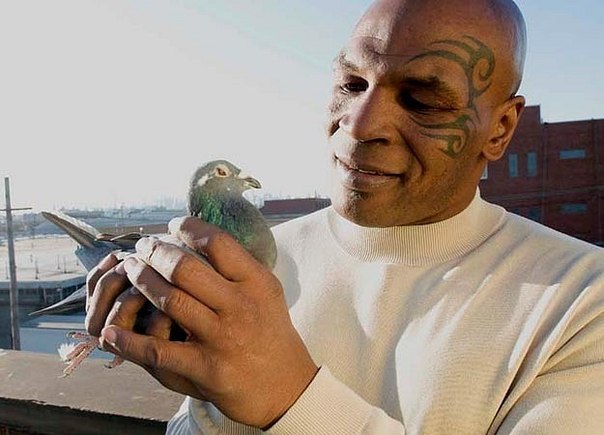 Алина Мельник | Киев