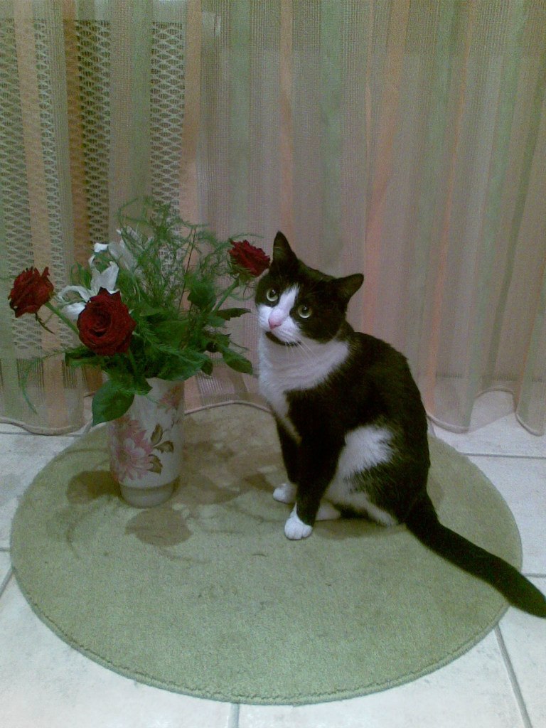 Sashka Mikheev | Москва