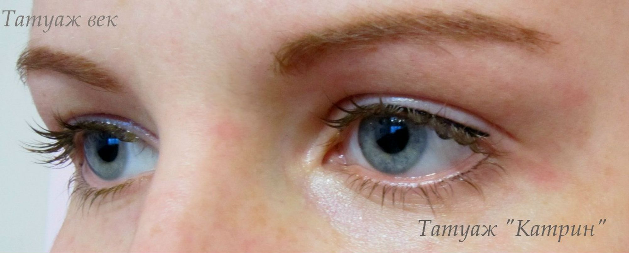 Екатерина Ящерица | Киев