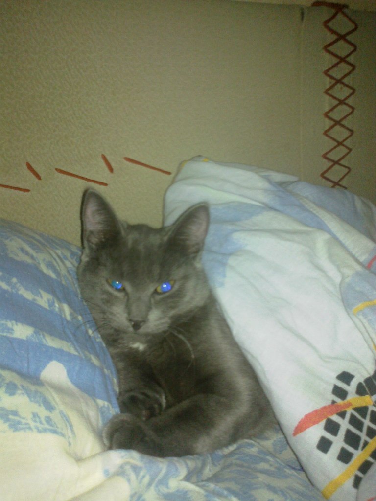 Наталия Кривченкова Ипатова | Москва