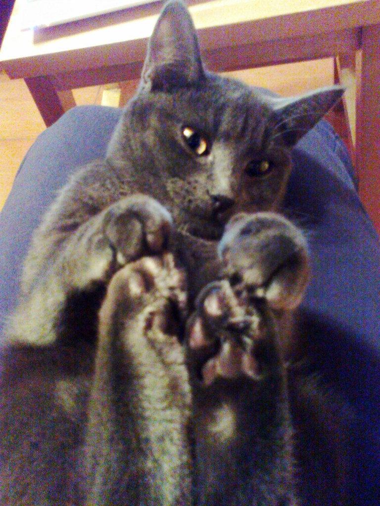 Наталия Кривченкова Ипатова | Москва