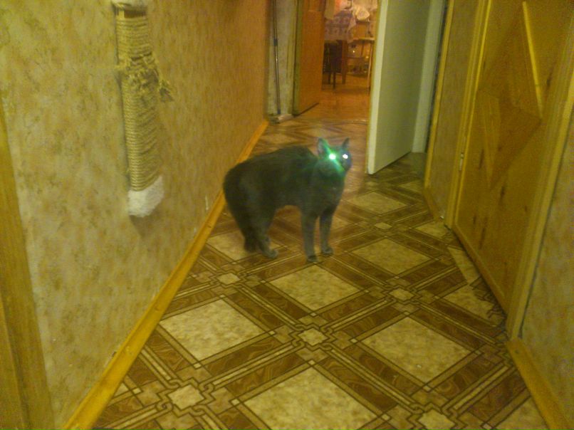 Дмитрий Волобуев | Химки