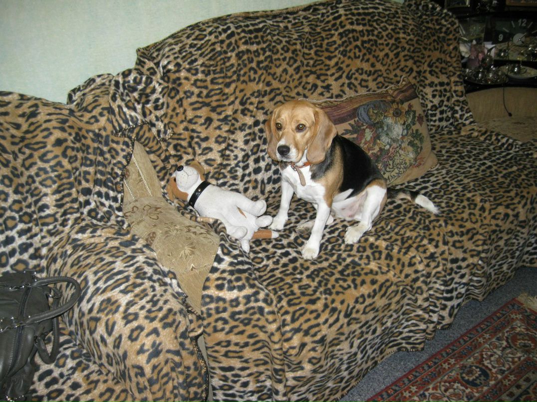 Николай Кардаков | Нижневартовск