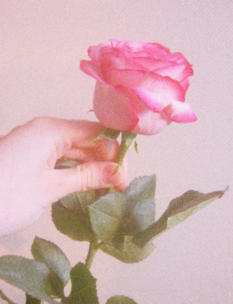 Лена Чистякова | 