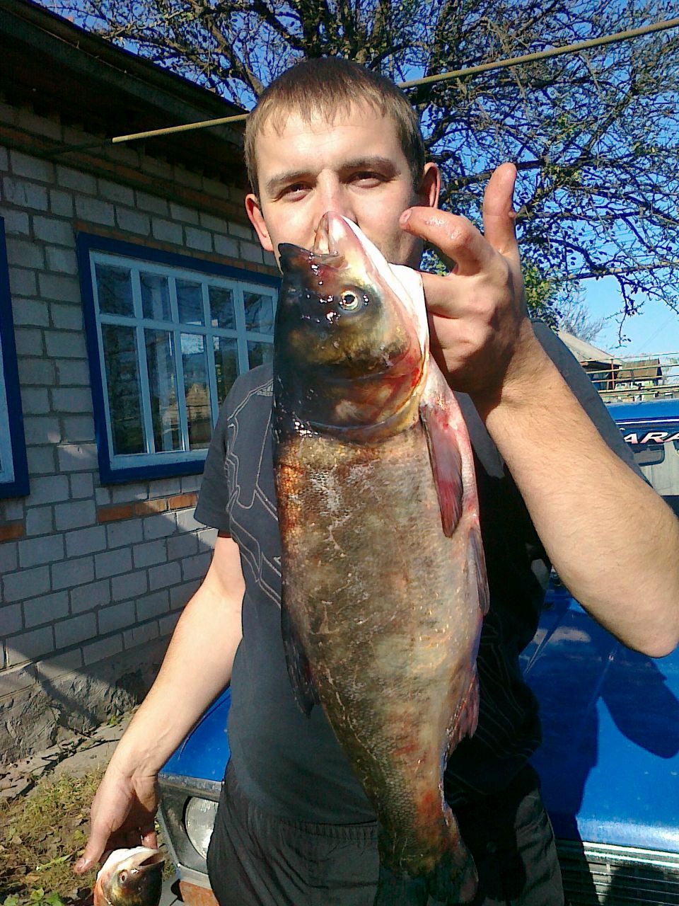 Дмитрий Брыков | Светловодск