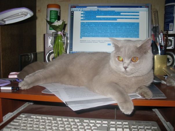 №46, Оля Богутдинова, 42 года, Краснокутск №46, Оля Богутдинова, 42 года, Краснокутск