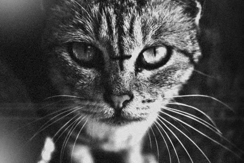 Игорян Vsepovno ॐXSeNॐ | Москва