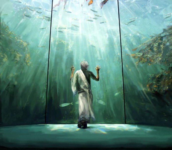 Тимур Чистяков | Ногинск