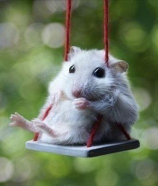 Ольга Высокова | Сочи