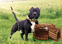 Shalyn Mike | Черновцы