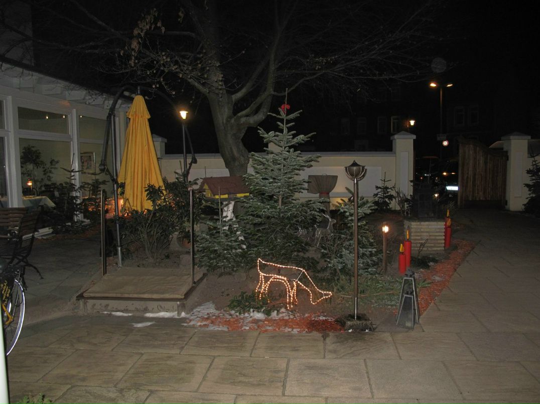 Дмитрий Гришин | Санкт-Петербург