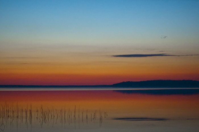 Мария Борисова | Москва