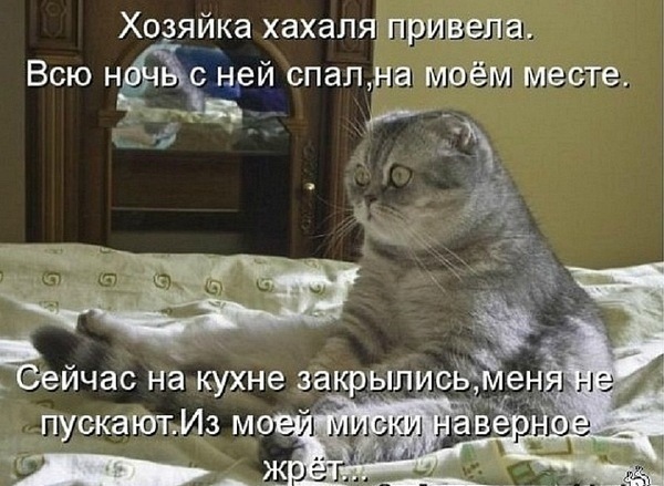 №142, Оля Дмитрук, 33 года, Ровно №142, Оля Дмитрук, 33 года, Ровно