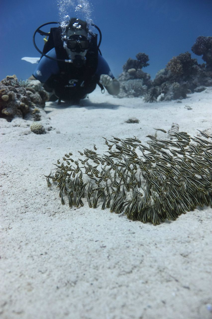Михаил Какорин | Новосибирск