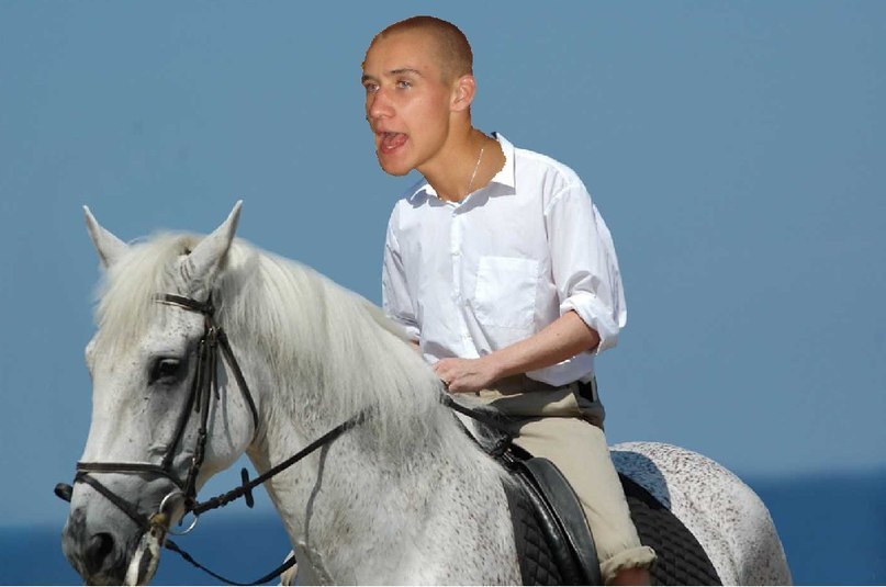 Антон Петров | 