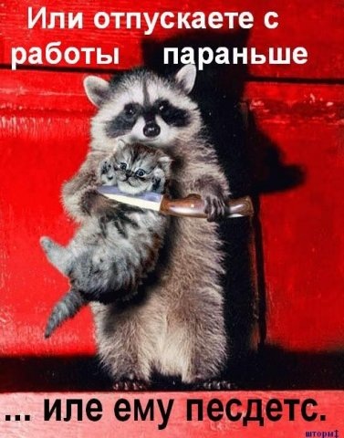 №74, Тарас Середа, Краснодар №74, Тарас Середа, Краснодар