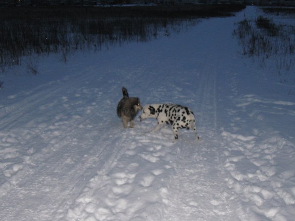 №76, Ольга Кузнецова, 69 лет, Москва №76, Ольга Кузнецова, 69 лет, Москва