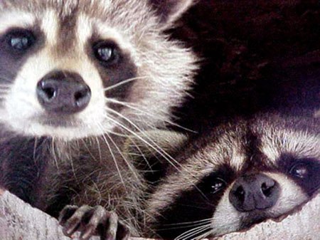 Игорь Владимирович | 