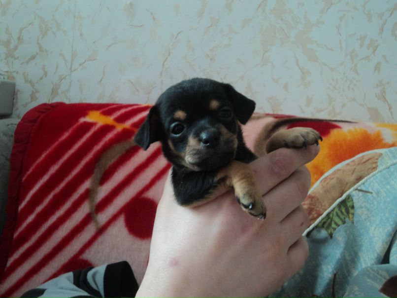 Марина Иванова | Тюмень