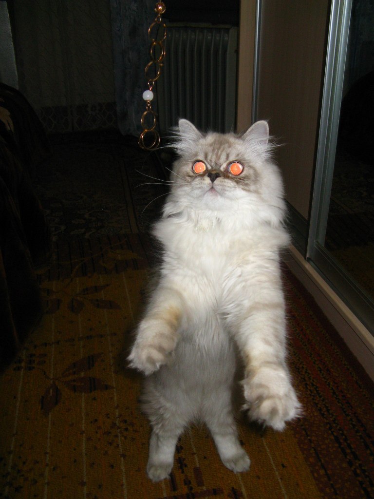 Надежда Цяпа | Херсон