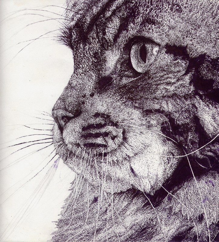 Ксения Рысич | Волгоград