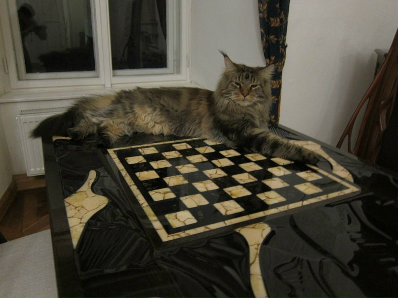 Анна Мммм | Калининград