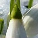 Оксана Короткова xxxmamkaxxx | Санкт-Петербург