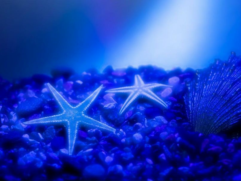 Марина Дёмина | Кемерово