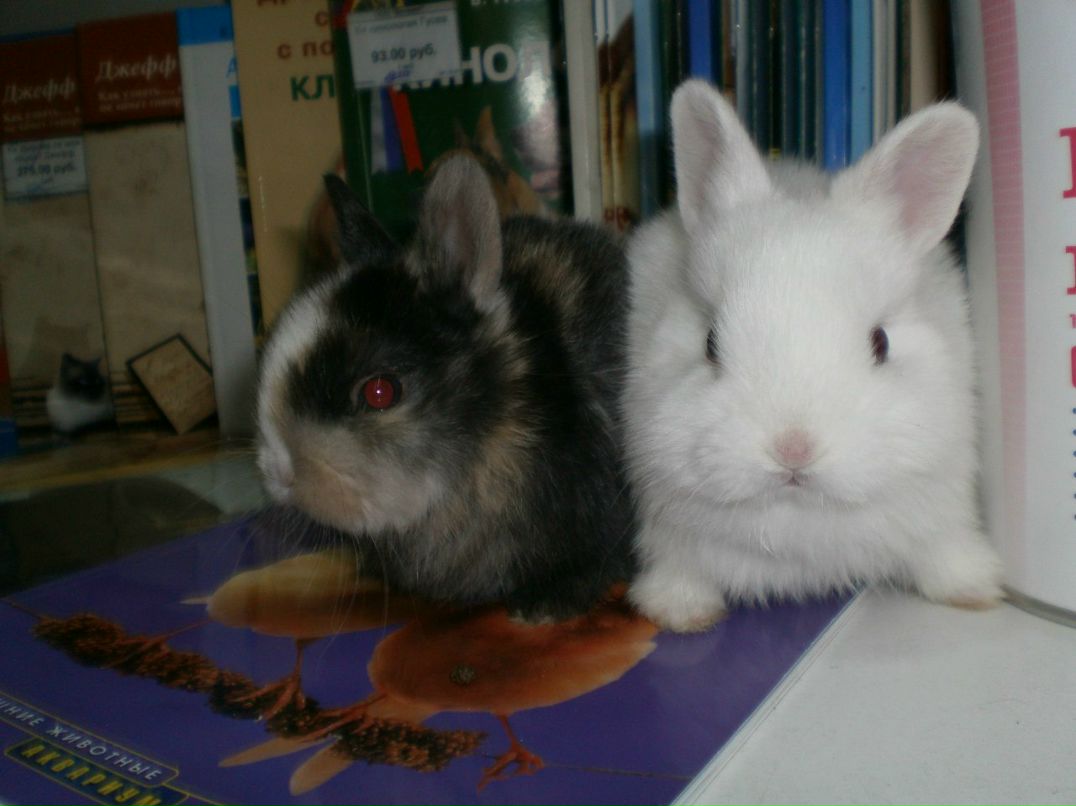 Вера Лыскина | Таганрог