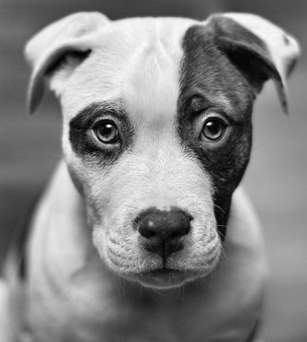 Igor Bormental | Львов